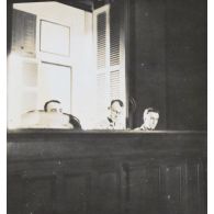 Différentes phases du procès. [description provisoire]