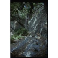 Fort de la Bayarde. Latrines extérieures. [légende d'origine]