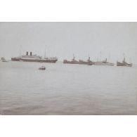 Lotus. 14 Juillet 1923. Beyrouth. [légende d'origine]