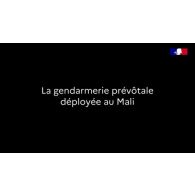 La gendarmerie prévôtale déployée au Mali.