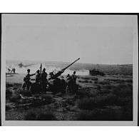 Canon anti-aérien de 40 mm Bofors du 55e groupe d'artillerie de l'Air (55e GAA) qui assure la protection du terrain d'aviation de Campo dell' Oro à compter du 21 septembre 1943.