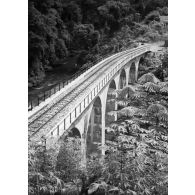 République populaire du Congo, 1943. Chemin de fer Congo-Océan. Viaduc au km. 1O8.