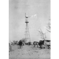 République du Mali, subdivision de Gao, 1956. Forage équipé d'une éolienne à Ergabech.
