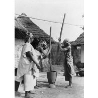 République de Guinée, Kouroussa. Femmes pilant le mil.
