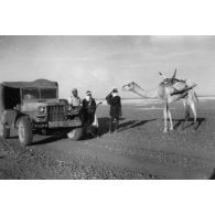 République du Niger, décembre 1952. Sur la route Zinder-Agadès.