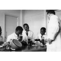République de Côte d'Ivoire, 1970. ORSTOM. Chercheurs.
