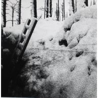 379. Armand. Pellicule Reuss. [légende d'origine]