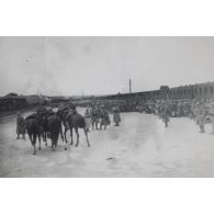 Archives photographiques des frères Joseph (1881-1915) et Louis dit Loys Roux (1882-1970). Enveloppe "Guerre 1914. Film 6ème. Somme 1916".