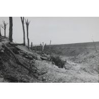 668. Chemin creux. 26 août 1916. 13 h 1/2. s.s. [légende d'origine]