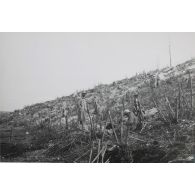 671. Bois 2 du Nord. 29 août [1916]. 10 h. S.s. [légende d'origine]