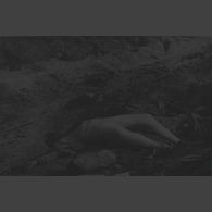 702bis. Bois des Riez. Photo Bertin. Septembre 1916. [légende d'origine]