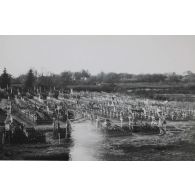 803. Argonne. Florent. 9 novembre 1916. [légende d'origine]