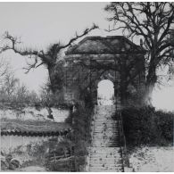 827. Argonne. S[ain]t Thomas. 16 nov[embre 1916]. 14 h. S.f. [légende d'origine]