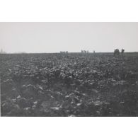 1604. Maercke-Kerchem. Dernière attaque. 10 nov[embre] 1918. [légende d'origine]