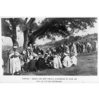 Photographie : "Kabylie. Djemâa de Beni-Douala rassemblée en plein air sous un olivier centenaire".