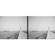 1515. Statue de Ferdinand de Lesseps. [légende d'origine]