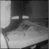 Dissection d'un cœur d’animal. [Description en cours]