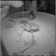 Dissection d'un cœur d’animal. [Description en cours]