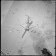 Dissection d'un cœur d’animal. [Description en cours]