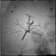 Dissection d'un cœur d’animal. [Description en cours]