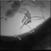 Dissection d'un cœur d’animal. [Description en cours]