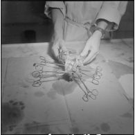 Dissection d'un cœur d’animal. [Description en cours]