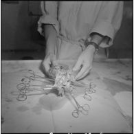 Dissection d'un cœur d’animal. [Description en cours]