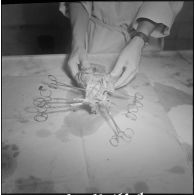 Dissection d'un cœur d’animal. [Description en cours]