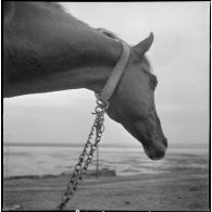 Le 9e GESA à Blandan. [Description en cours]