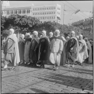 Cérémonie du 11 novembre à Alger. [Description en cours]
