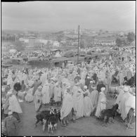 Action psychologique au marché à Bouira. [Description en cours]