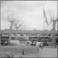 Environs du camp d’Erlon. [Description en cours]