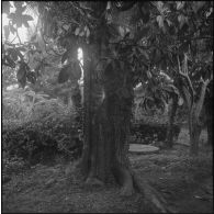 Environs du camp d’Erlon. [Description en cours]