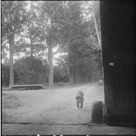 Environs du camp d’Erlon. [Description en cours]