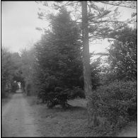 Environs du camp d’Erlon. [Description en cours]