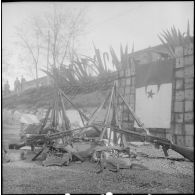 Prisonniers de la wilaya 5. [Description en cours]