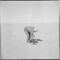 Les pétroliers du Tanezrouft. [Description en cours]