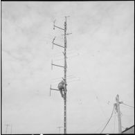 Activité du réseau postal militaire. [Description en cours]