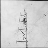 Activité du réseau postal militaire. [Description en cours]