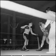 Demi-finale et finale interarmes de boxe d'Afrique du Nord. [Description en cours]