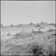 Auto-défense de fermes. [Description en cours]