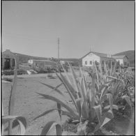 Une église d'Algérie. [Description en cours]