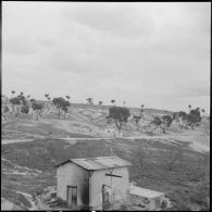 Poste près de la frontière tunisienne.[Description en cours]