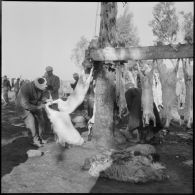 Action psychologique et aide médicale à des populations. [Description en cours]