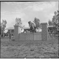 Une compétition hippique. [Description en cours]