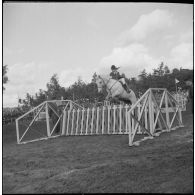 Une compétition hippique. [Description en cours]