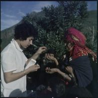 Petite Kabylie. Une ASRA (assistante sociale les Rurales Auxiliaires) distribue des cachets.