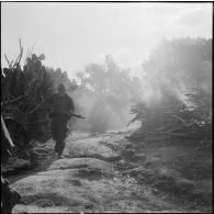 Progression des Harkis.