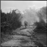 Progression des Harkis.
