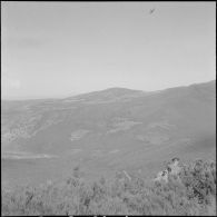 Le 1er REP en opération. [Description en cours]